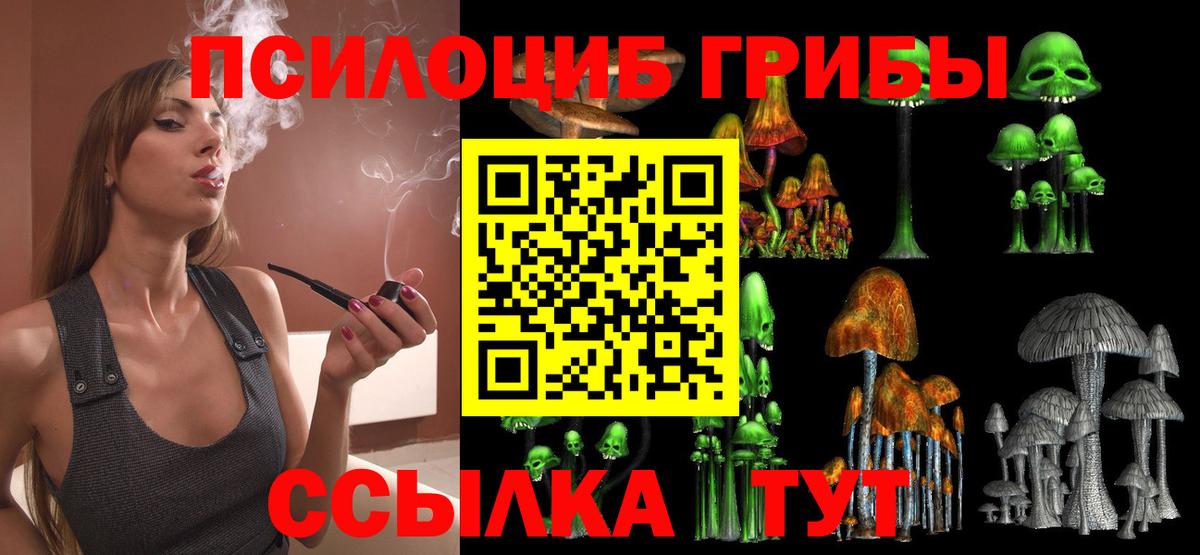 Таганрог  хочу   Вход с VPN  Галлюциногенные грибы мухоморы 